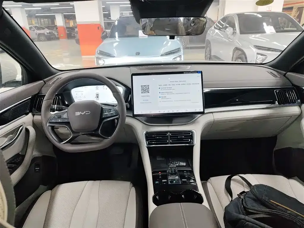 BYD PLUS New Energy 2025 из CN, фото 7