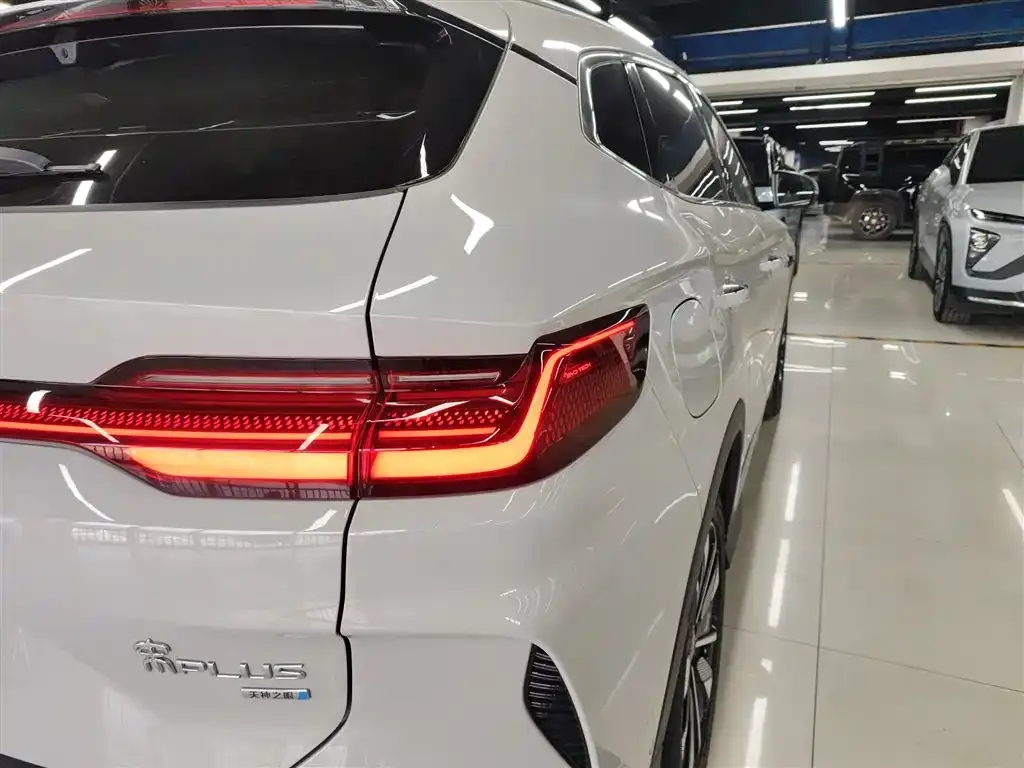 BYD PLUS New Energy 2025 из CN, фото 4