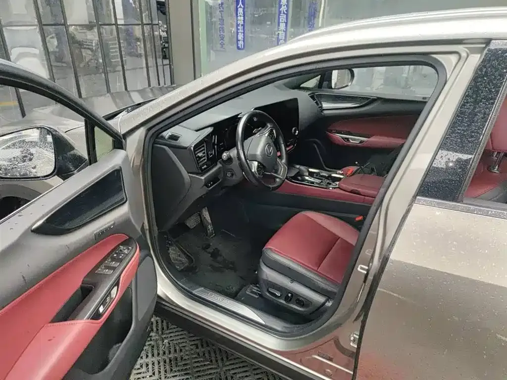 Lexus NX 2022 из CN, фото 8