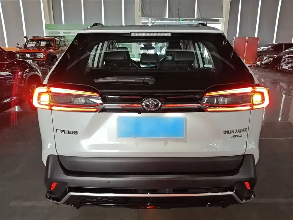 Toyota Wildlander 2023 из CN, фото 10