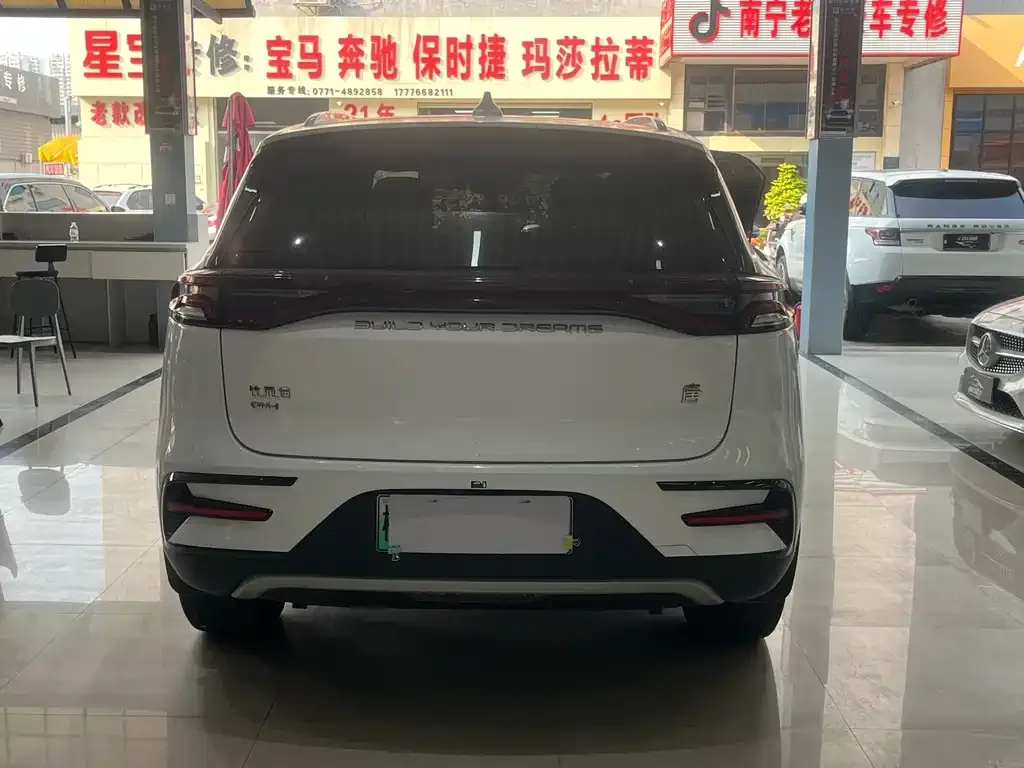 BYD Tang New Energy 2023 из CN, фото 5