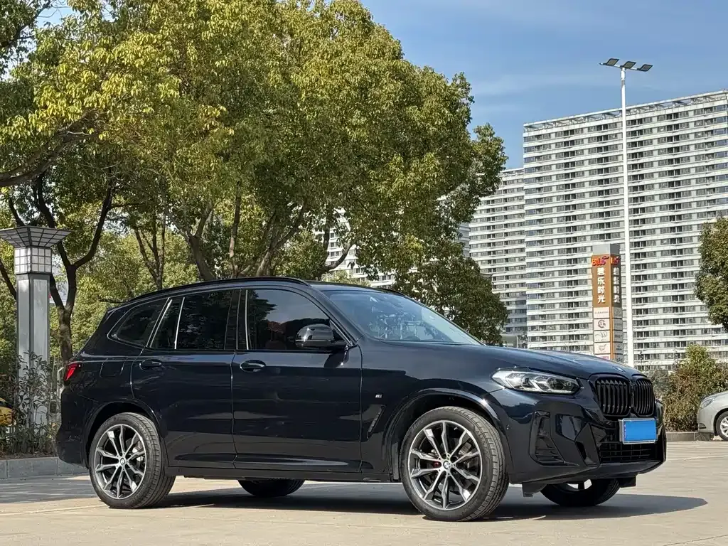 BMW X3 2024 из CN, фото 6