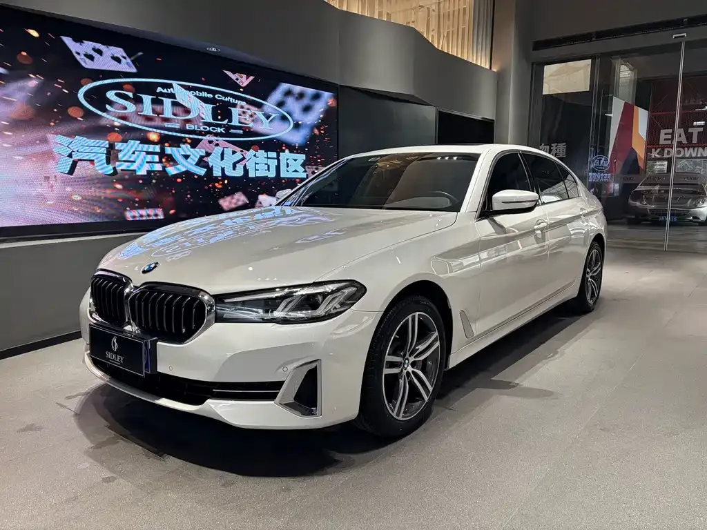 BMW 5 Series 2022 из CN, фото 1