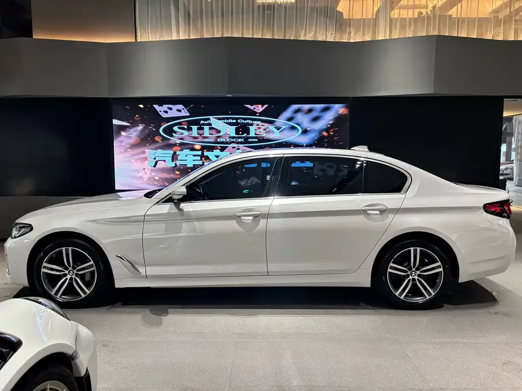 BMW 5 Series 2022 из CN, фото 3