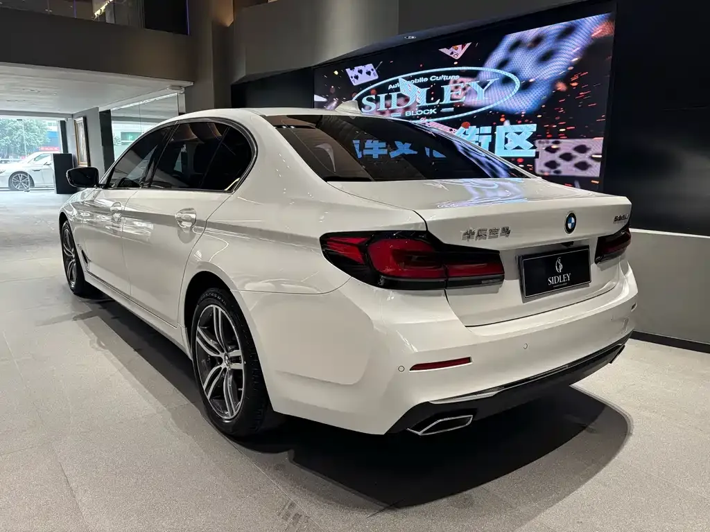 BMW 5 Series 2022 из CN, фото 10