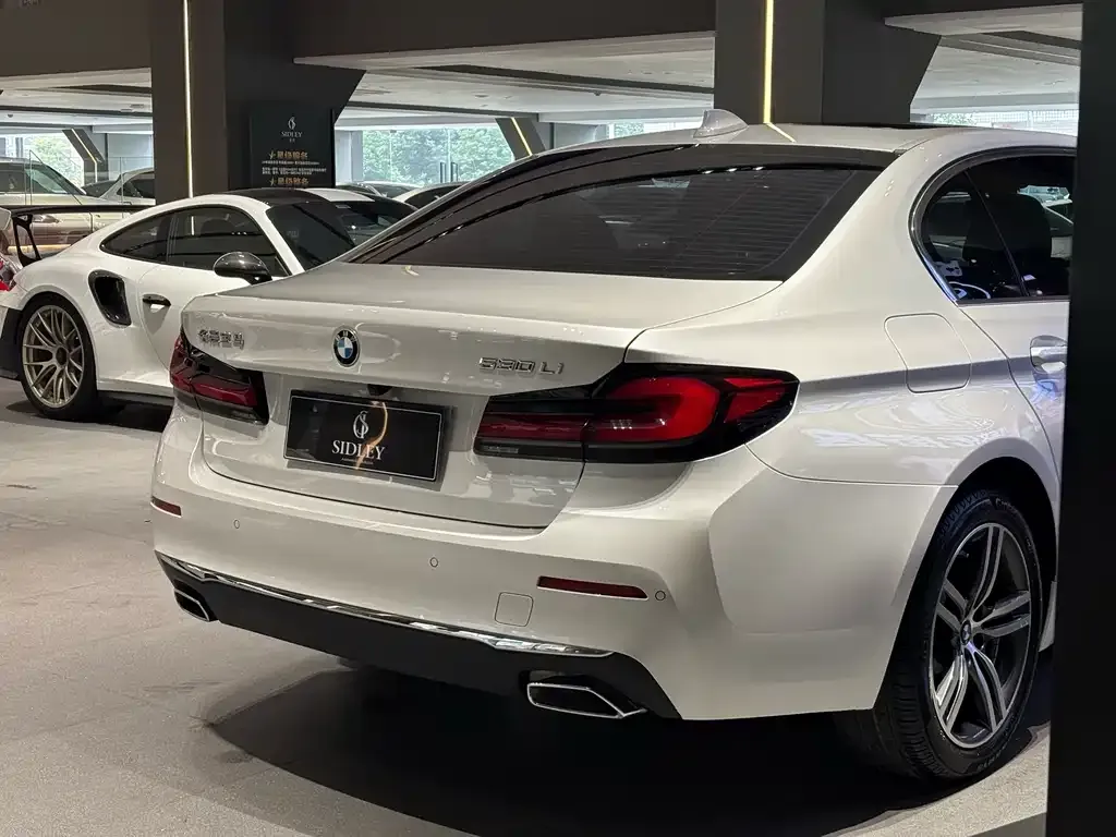 BMW 5 Series 2022 из CN, фото 7