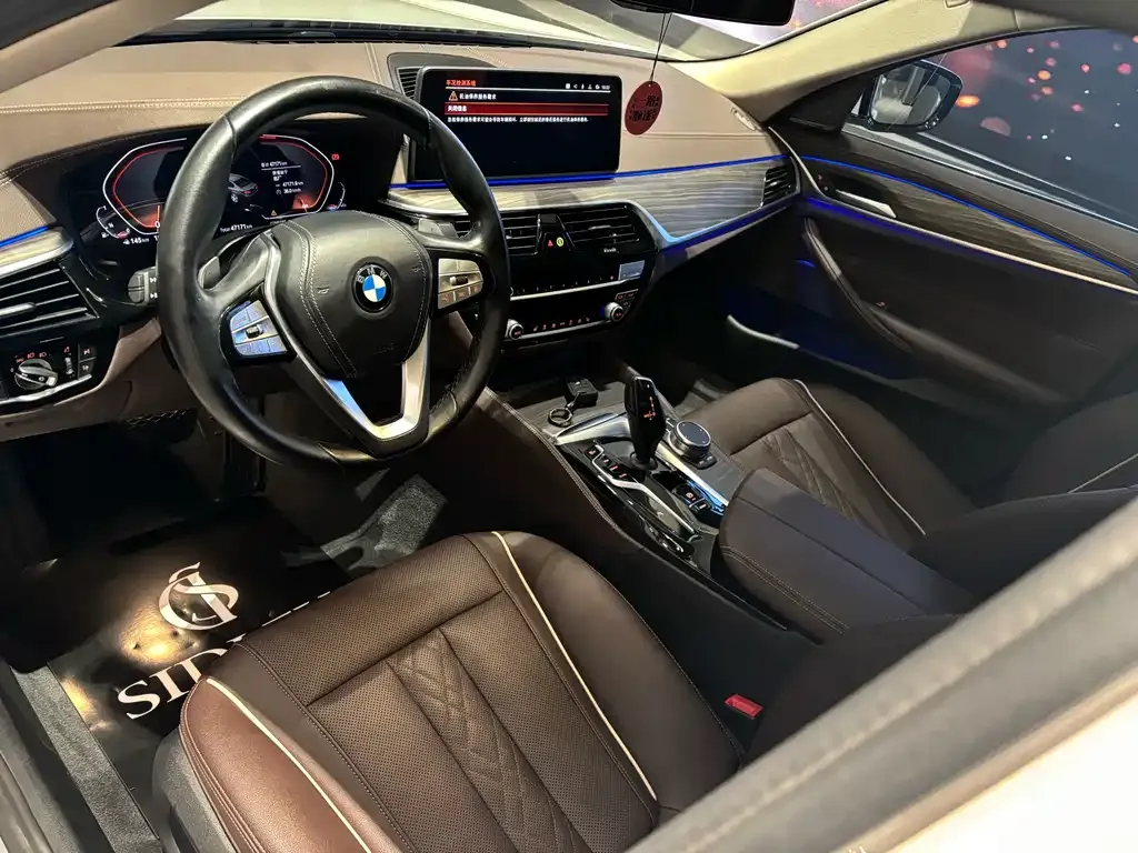BMW 5 Series 2022 из CN, фото 6