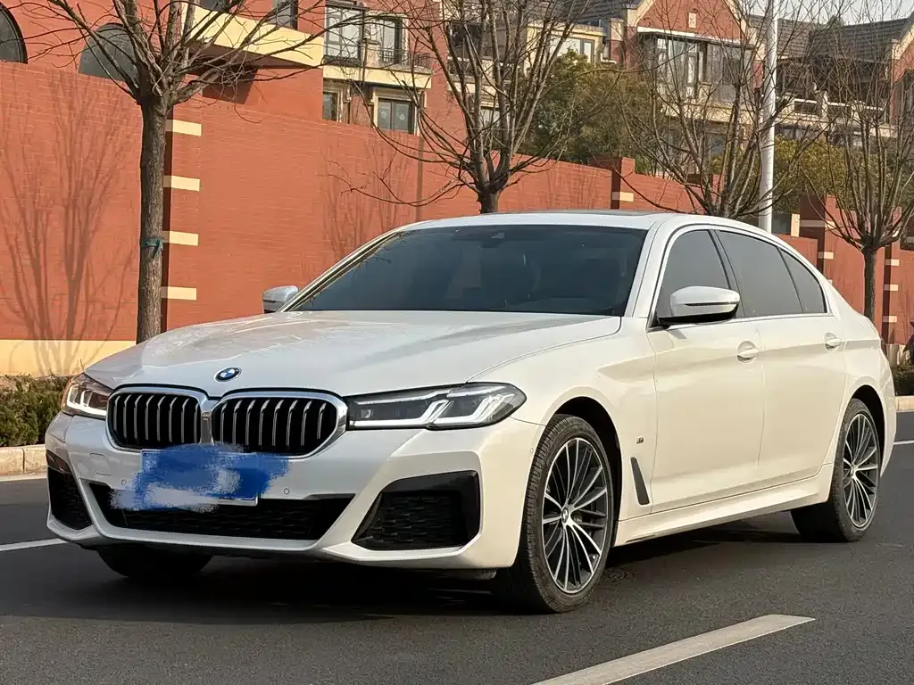 BMW 5 Series 2021 из CN, фото 1