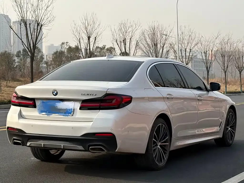 BMW 5 Series 2021 из CN, фото 5