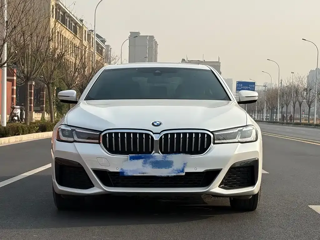 BMW 5 Series 2021 из CN, фото 2