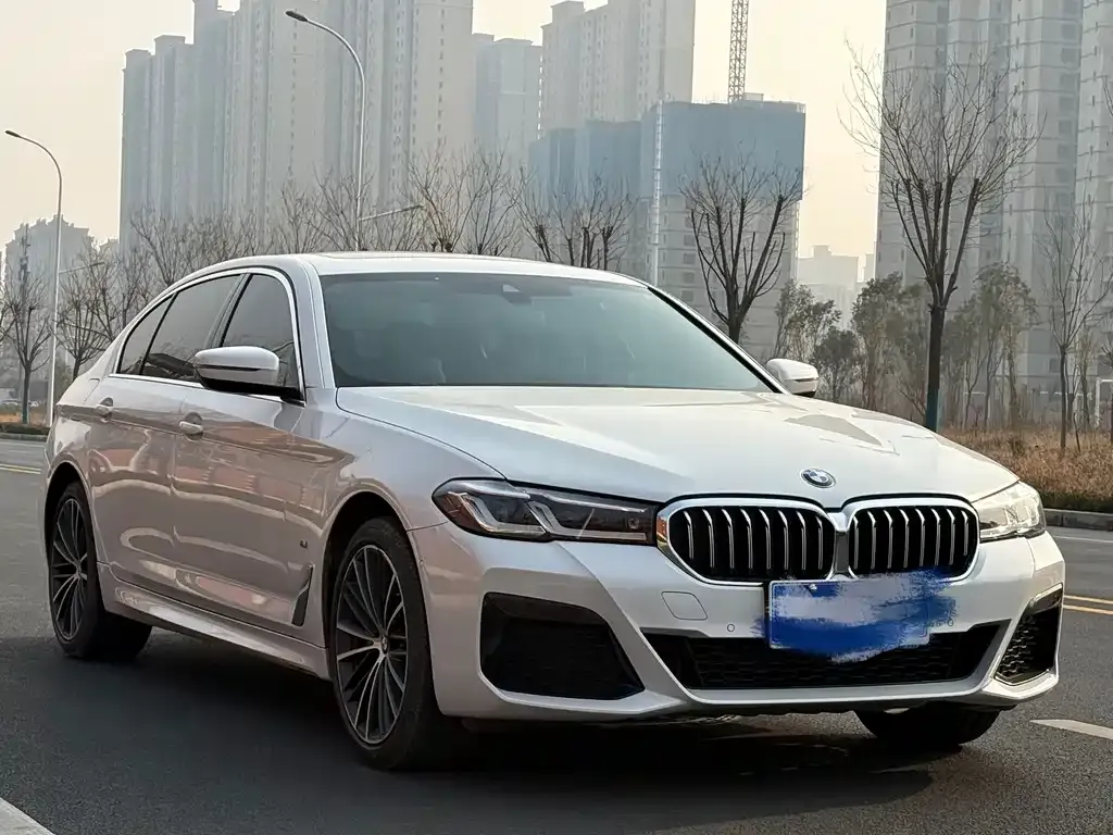 BMW 5 Series 2021 из CN, фото 8