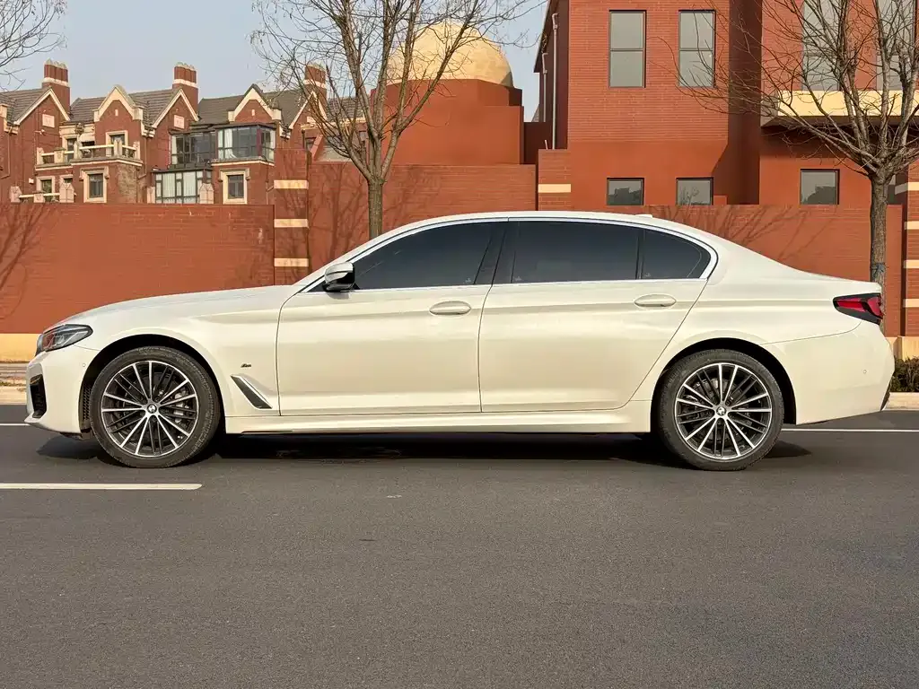 BMW 5 Series 2021 из CN, фото 9
