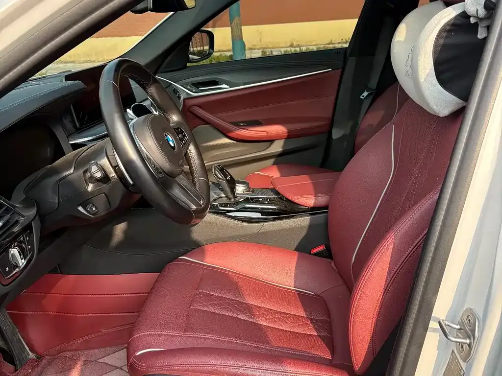 BMW 5 Series 2021 из CN, фото 7