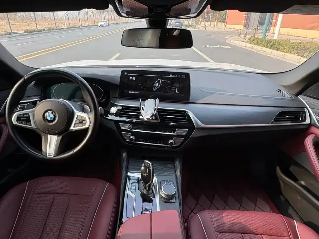 BMW 5 Series 2021 из CN, фото 6