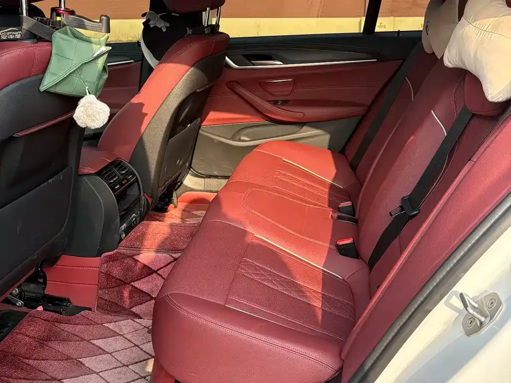 BMW 5 Series 2021 из CN, фото 10