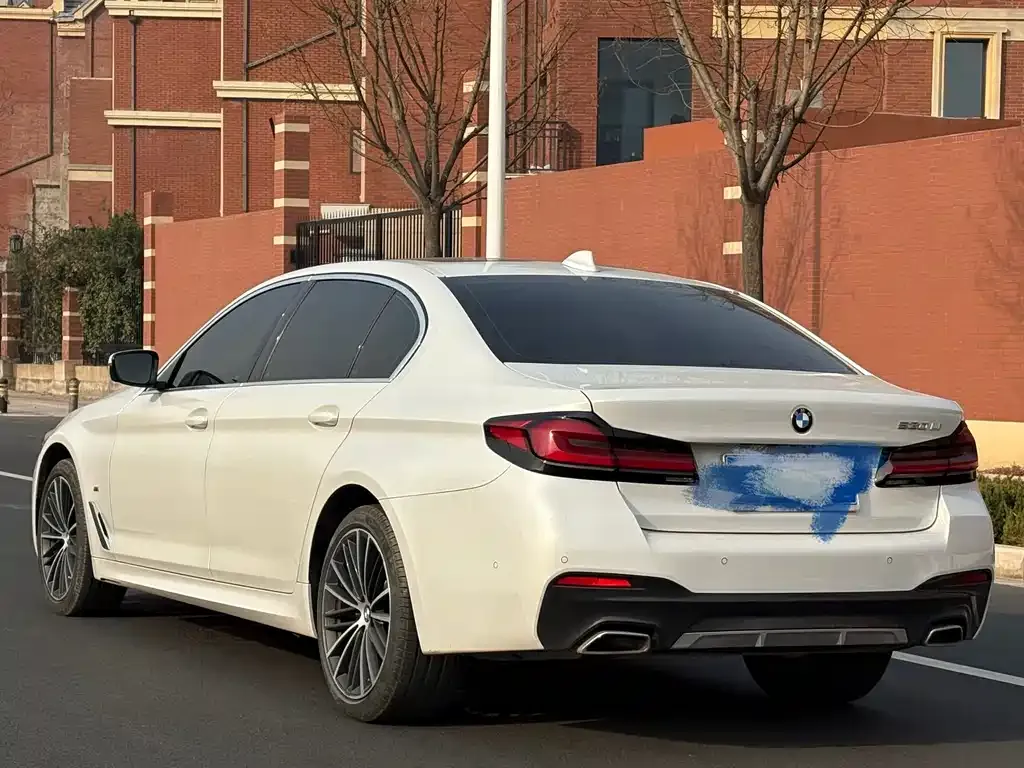 BMW 5 Series 2021 из CN, фото 3