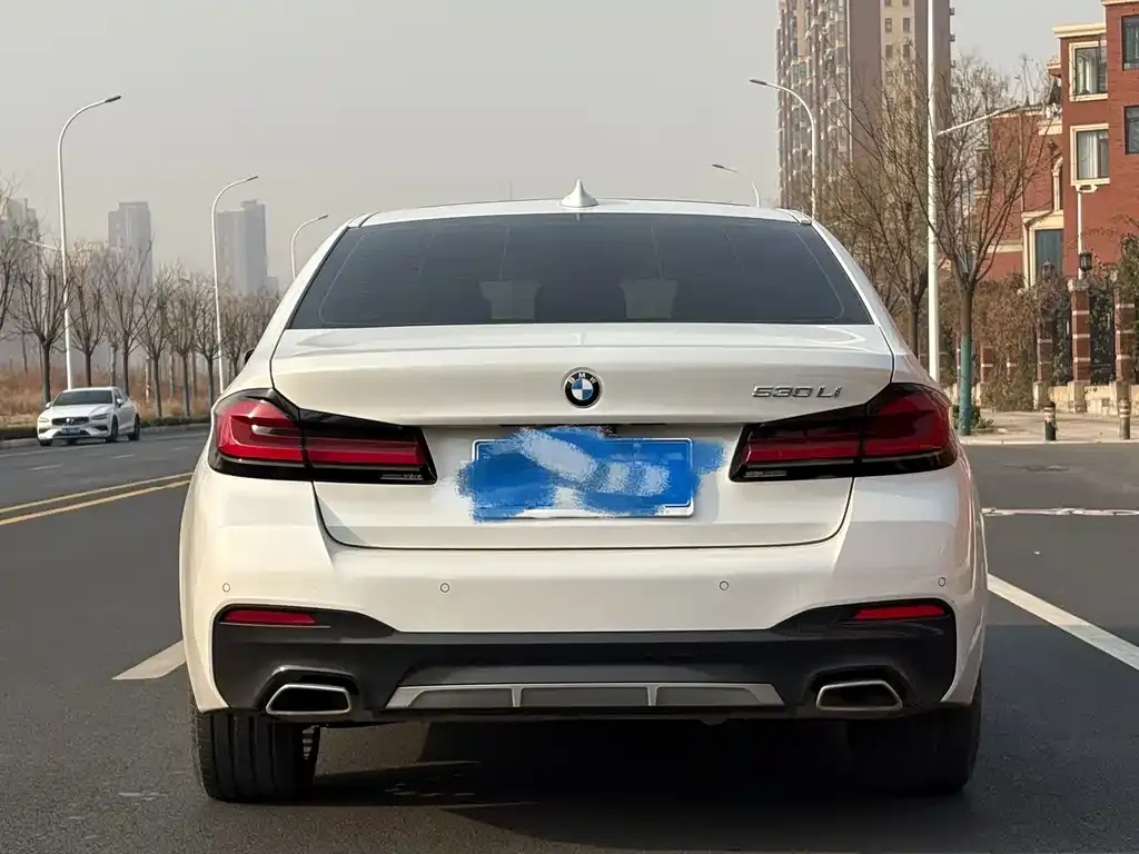 BMW 5 Series 2021 из CN, фото 4