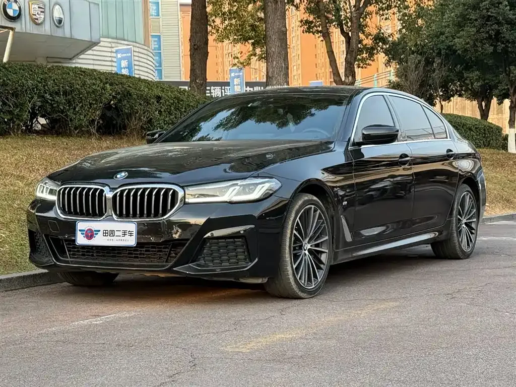 BMW 5 Series 2021 из CN, фото 1