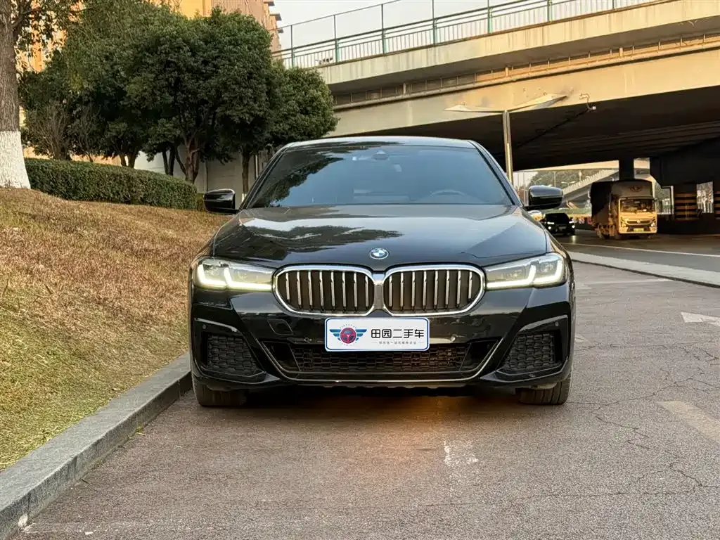 BMW 5 Series 2021 из CN, фото 7