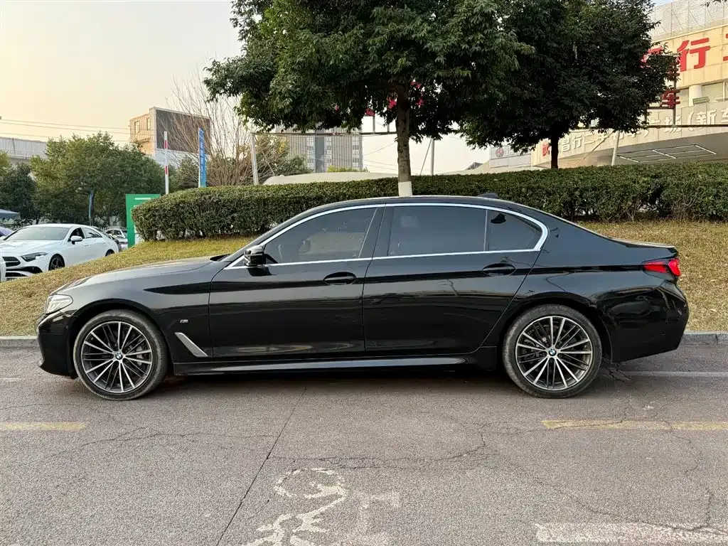 BMW 5 Series 2021 из CN, фото 10