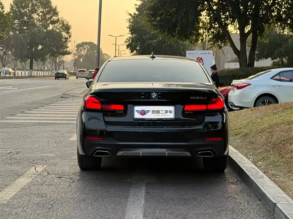BMW 5 Series 2021 из CN, фото 4