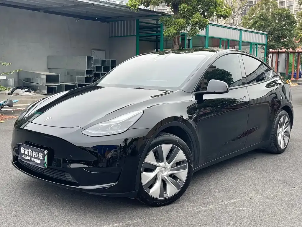 Tesla Model Y — фото 1