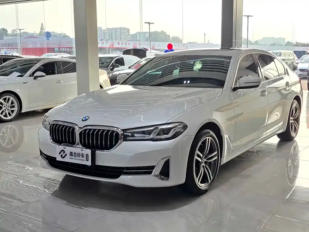 BMW 5 Series 2022 из CN, фото 1
