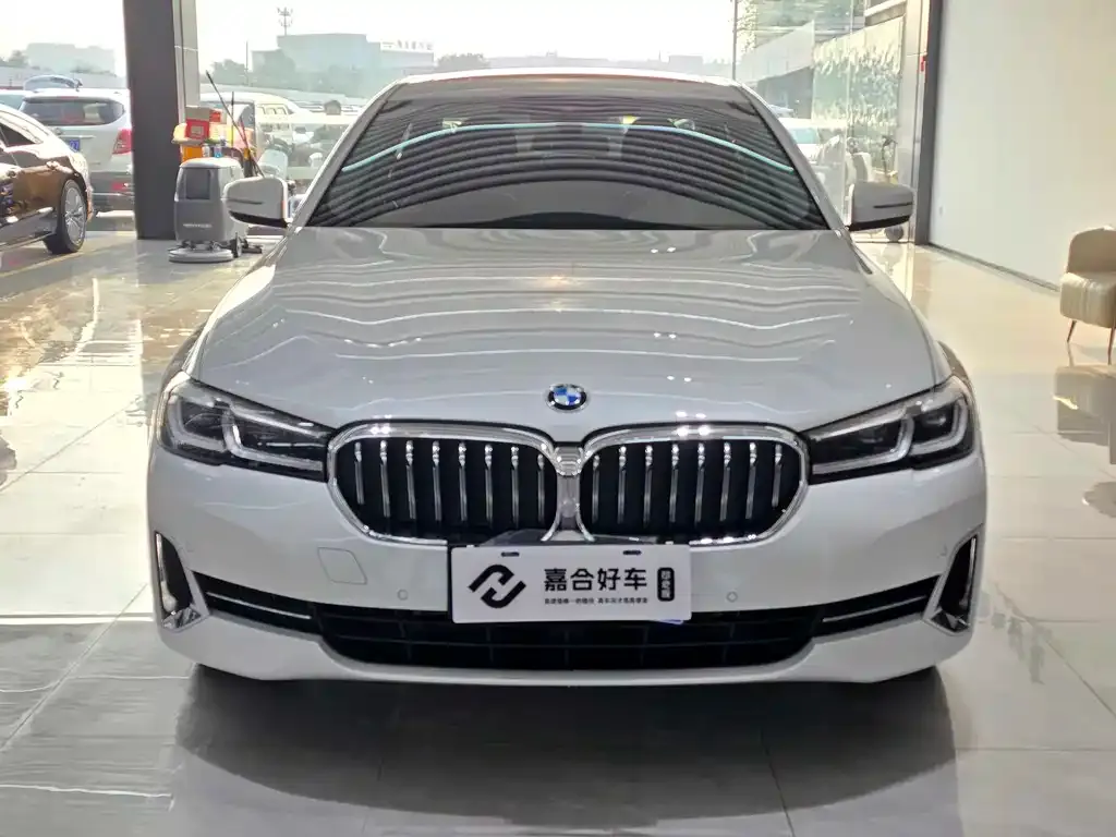 BMW 5 Series 2022 из CN, фото 5