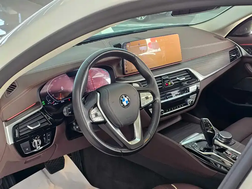 BMW 5 Series 2022 из CN, фото 9