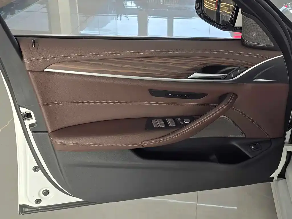 BMW 5 Series 2022 из CN, фото 8