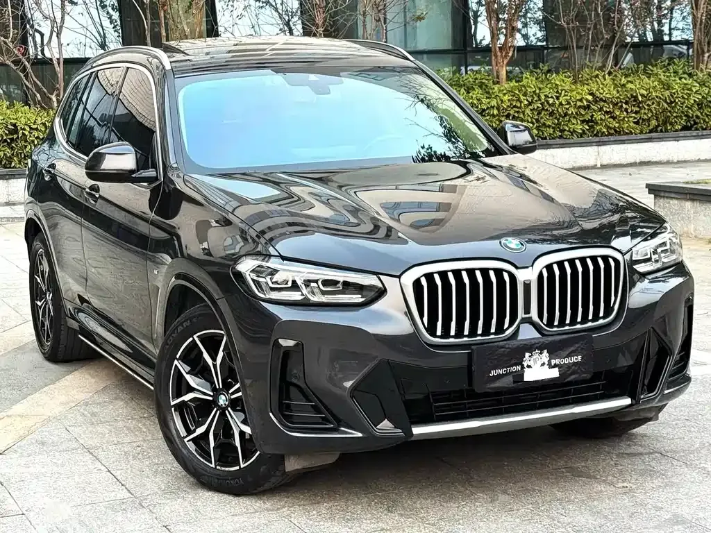 BMW X3 2022 из CN, фото 5