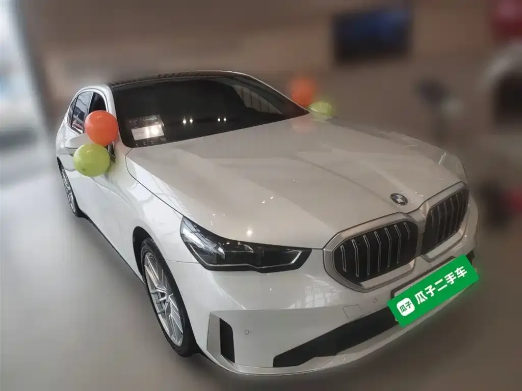 BMW 5 Series 2024 из CN, фото 8
