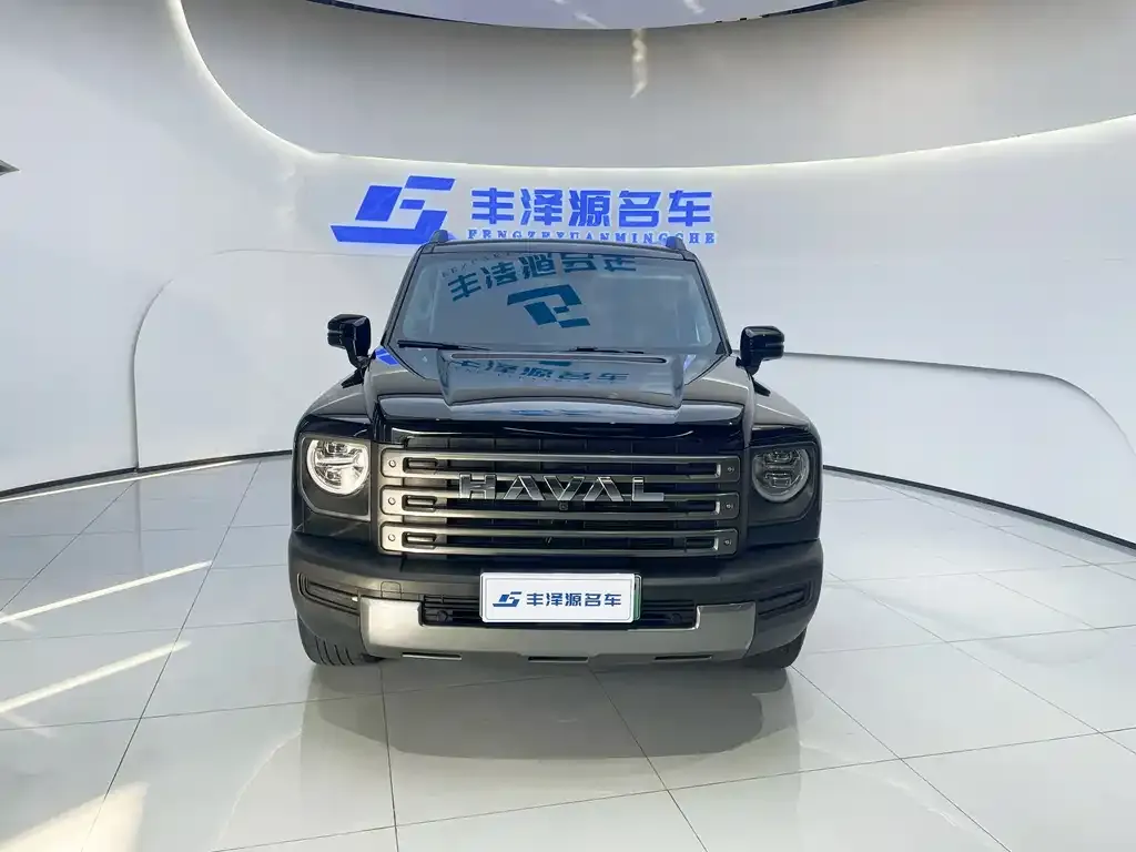 Haval Menglong New Energy — фото 3