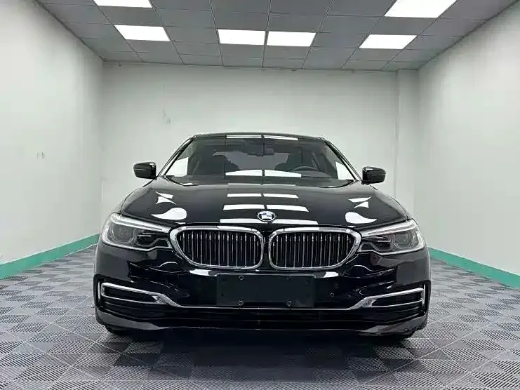BMW 5 Series 2021 из CN, фото 7