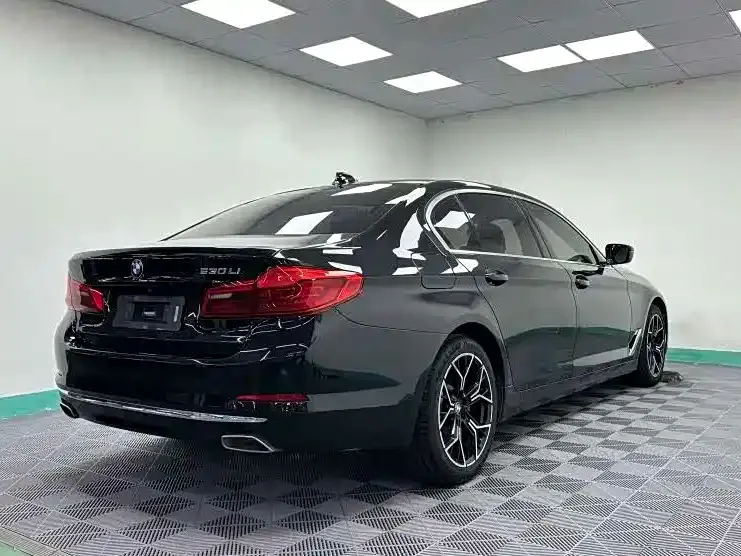 BMW 5 Series 2021 из CN, фото 9
