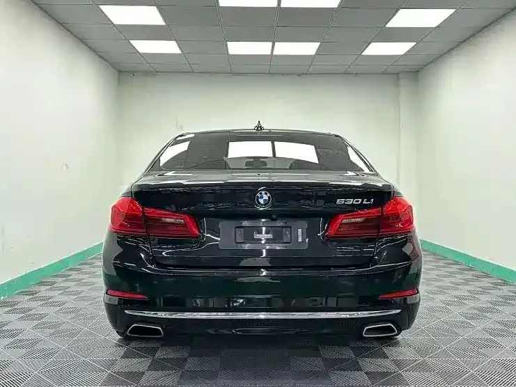 BMW 5 Series 2021 из CN, фото 2