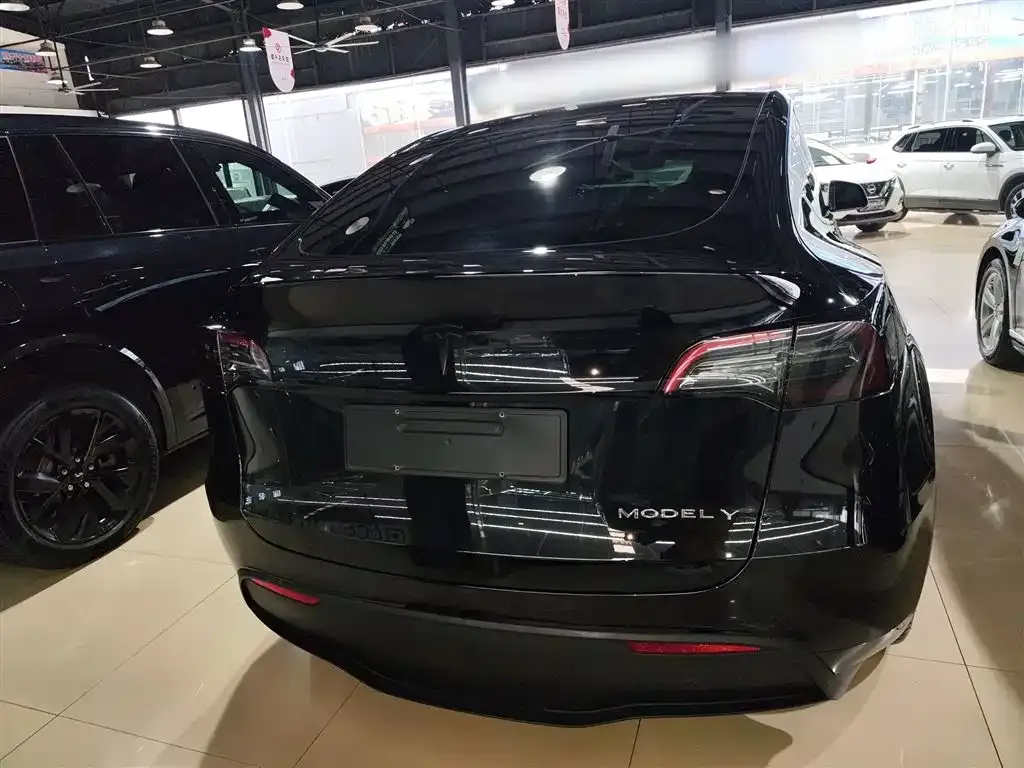 Tesla Model Y 2023 из CN, фото 9