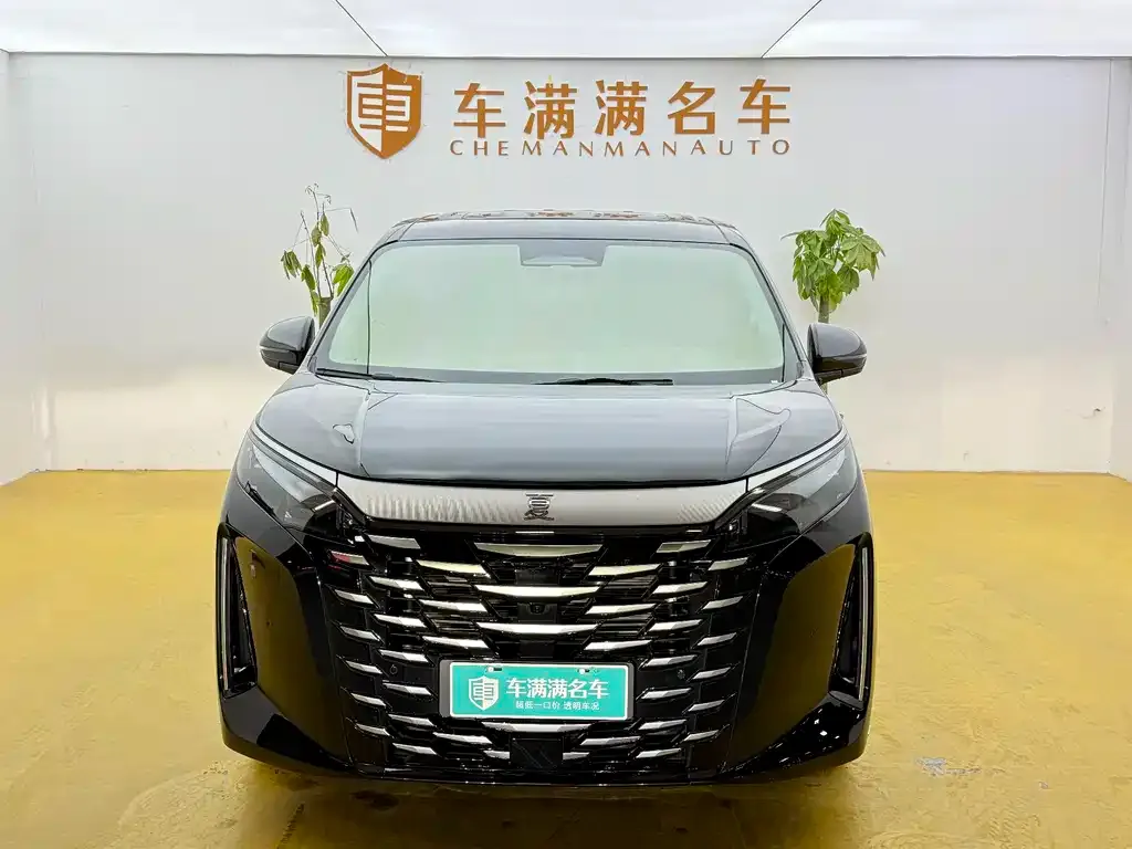 BYD Xia 2025 из CN, фото 6