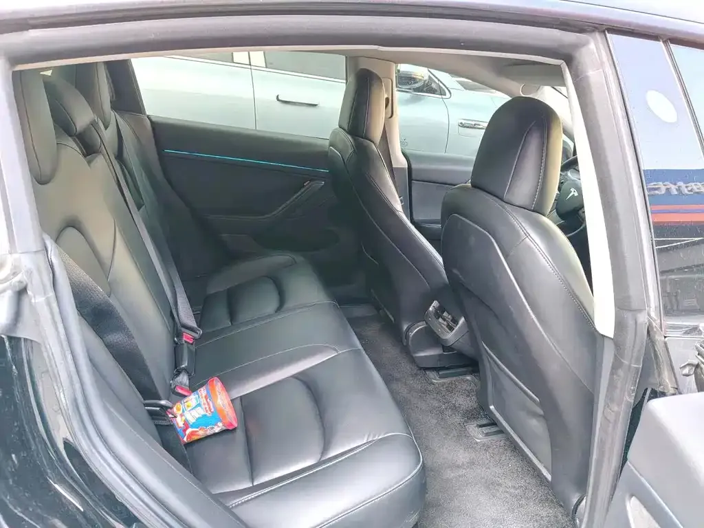 Tesla Model 3 2022 из CN, фото 3