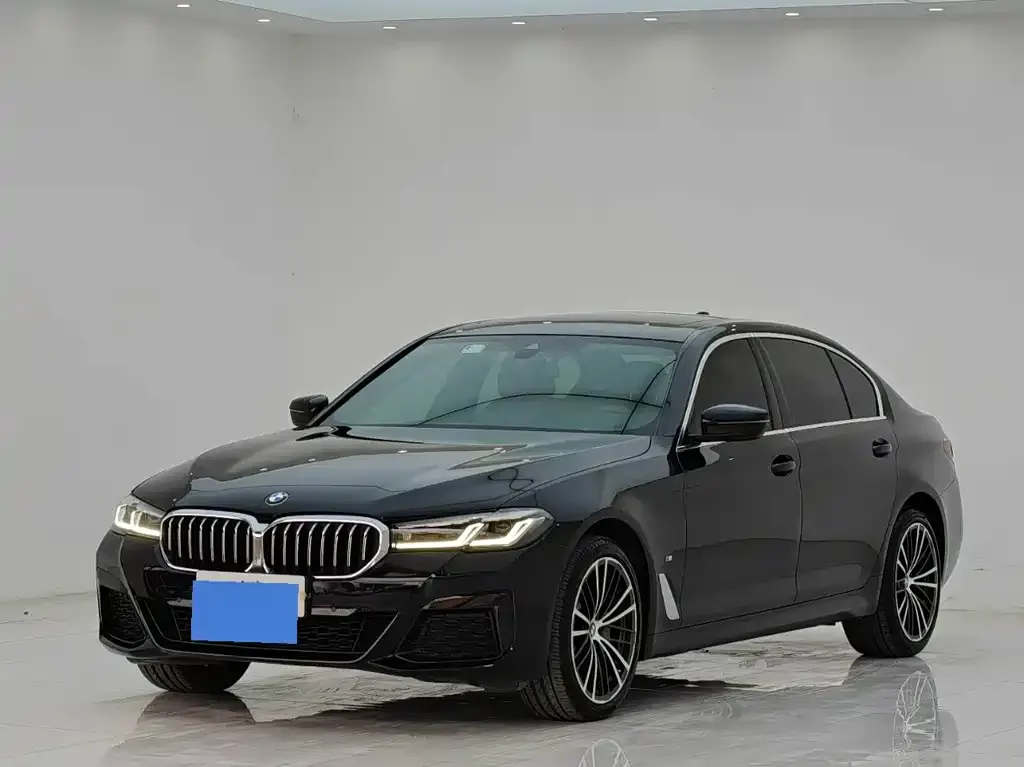 BMW 5 Series 2022 из CN, фото 1