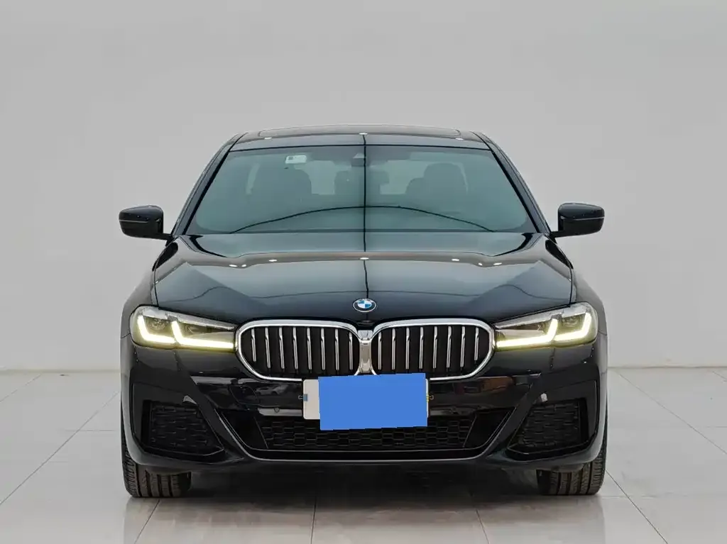 BMW 5 Series 2022 из CN, фото 4