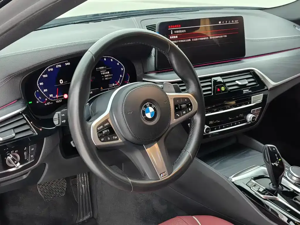 BMW 5 Series 2022 из CN, фото 10