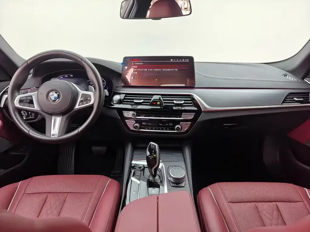 BMW 5 Series 2022 из CN, фото 7