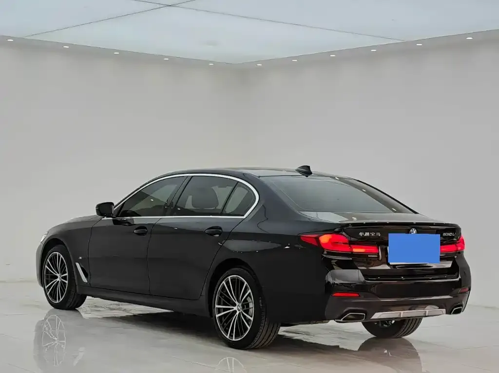 BMW 5 Series 2022 из CN, фото 6