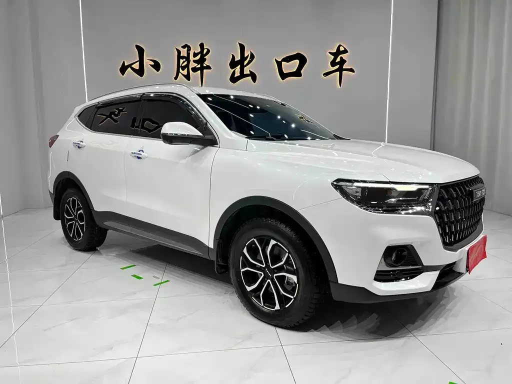 Haval H6 2024 из CN, фото 5