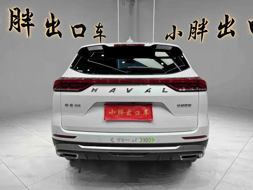 Haval H6 2024 из CN, фото 7