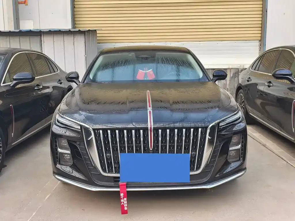 Hongqi H5 2025 из CN, фото 6