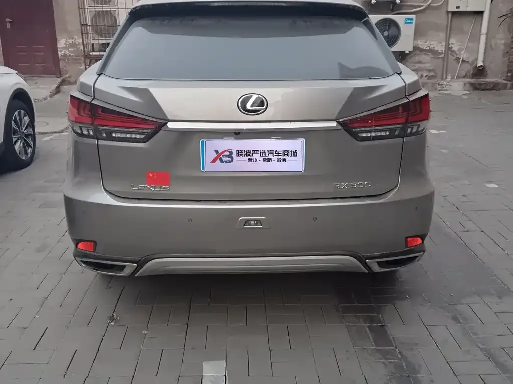 Lexus RX 2021 из CN, фото 2