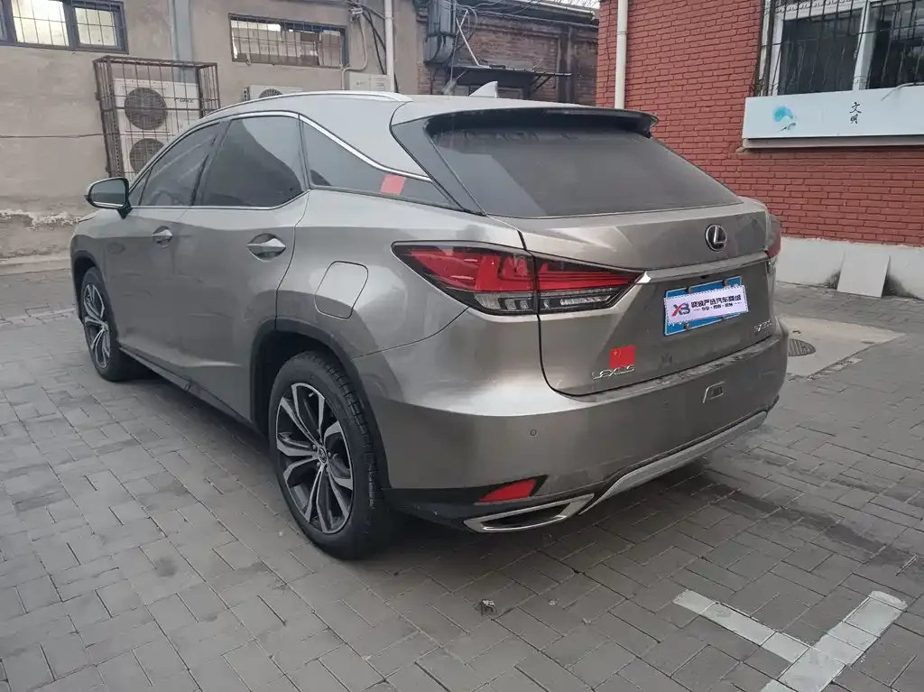 Lexus RX 2021 из CN, фото 10