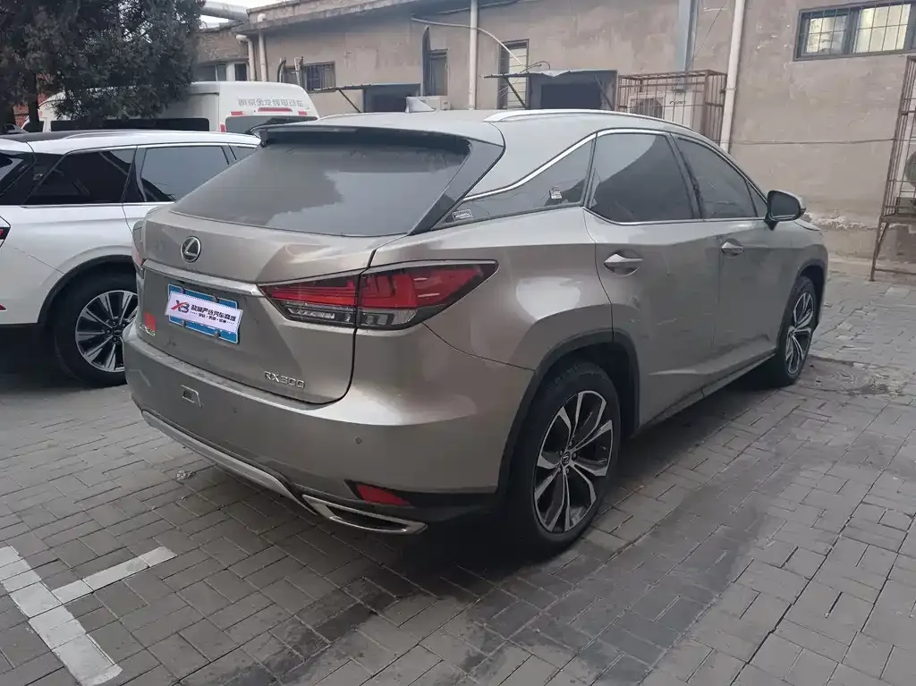 Lexus RX 2021 из CN, фото 9